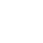 logo ninjutsu